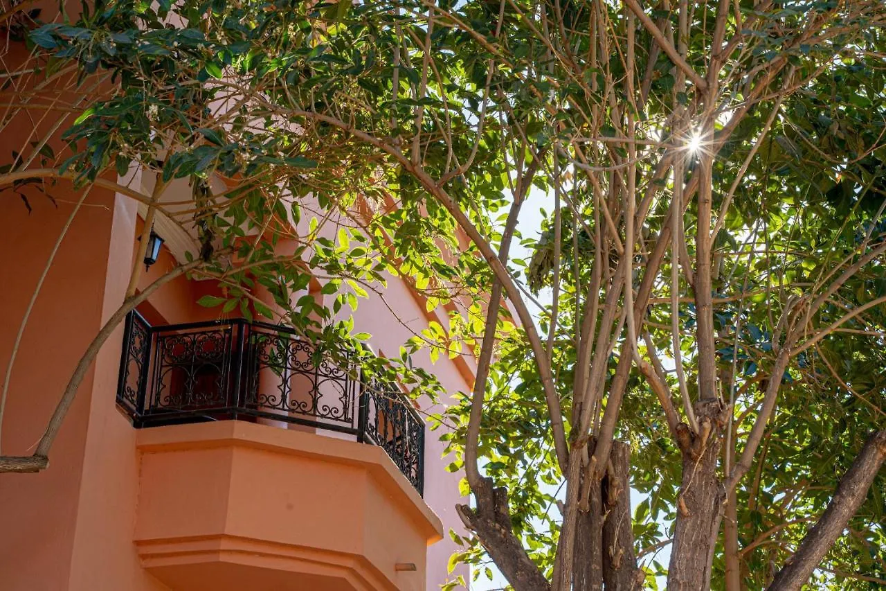Las Palmeras Guest House Douar Caid Layadi